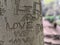 A close up of Words and love carved into the bark of a tree trunk