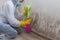 Close up of a worker of cleaning service removes the mold using antimicrobial spray and scrubbing brush