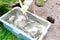 Close up worker mans hands in gloves mixing, stirring cement slurry, concrete mortar with shovel in big bowl, reservoir