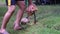 Close up of a worker`s hand peeling a dried coconut fruit, a farmer peeling a coconut with a sharp iron rod, the production proces