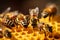 Close up of a working bees on honey cells. Generative AI