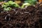 close-up of worms and compost in indoor garden