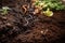 close-up of worms and compost in indoor garden