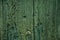 Close-up of worn planks of wood in an old green door