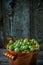 Close up yellow brass bucket with berry of green gooseberry stand on wood background. Vertical shot