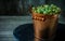 Close up yellow brass bucket with berry of green gooseberry. Which stand in right side on black stone stand on wood background