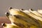 Close up Yellow Cultivated Banana