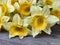 Close up of a yellow daffodil made of cloth on aged wood