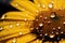 Close up of a yellow daisy fresh and dewy. Generative AI