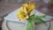 Close up of yellow flowers on the beautiful table arrangement