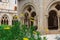 Close-up of yellow flowers in horizontal with gothic arches in the background, from the cloister garden of the Monastery of Poblet