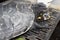 Close-up of the yellow-headed side-necked turtle