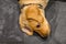 Close up of yellow lab puppy on a slate kitchen floor, floppy ears and funny face