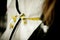 Close up yellow measure Wrap around white suit in designer studio