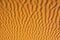 Close-up of yellow sand`s texture for background. Sand dune in Sahara  desert