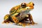 Close-up of a yellow-spotted tree frog isolated on white background Generative AI Generative AI