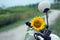 Close up of yellow sunflower decor on motorbike in adventure tour, with Jesus Christ holy cross crucifix hanging on motorcycle