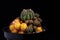 Close up yellow varigated lobivia cactus in planting pot against dark background