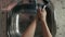 Close-up of a young female washing his hands thoroughly in the kitchen. Coronavirus pandemic prevention wash hands with soap water