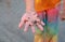 Close-up young girl hand holding small crab