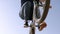 Close-up of a young guy performing complex stunts and jumps on a BMX bike.