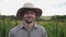 Close up of young smiling farmer in hat looking into camera against the blurred background of corn field. Portrait of