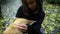 Close up young woman owner petting akita inu dog. Woman playing with akita dog