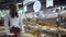 Close-up of a young woman's hands moving a grocery cart through the aisles of a supermarket, the concept of sale and