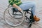 Close up of a young woman in a wheelchair while walking in a park on a sunny day. Recovery and healthcare concepts