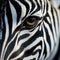 Close-up of a zebra eye. Generative AI