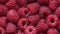 Close-up zoom out smooth motion of fresh red raspberry.