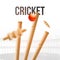 Close view of ball hitting wicket stumps illustration for cricket tournament.