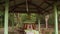 Close view of a Buddhist`s forest tomb, Myanmar