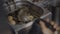 Close view of chef using skimmer in deep fryer with balls of dough