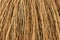 Close view cinnamon broom bristles