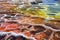 close view of colorful bacteria mats near a geothermal hot spring