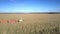 Close view corn harvester drives on field followed by truck