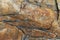 Close view of cracks in the rock ledges on the coast of Maine in the early morning light