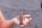 Close view of a crayfish sitting on a kid`s hand