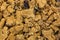 Close view of crumbled oatmeal raisin cookies