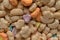 Close view of crunchy breakfast cereal with fruit bits