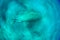 Close view on cute and amazing dugong.Underwater shot. A diver in flippers and mask looking on quite rare ocean animal