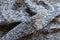 Close view of draped blue grey melange woolen fabric