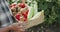 Close view of farmer holds a crate with vegetables at camera and walks in field