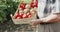 Close view of farmer holds a crate with vegetables at camera and walks at field