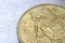 Close view of fifty cent euro coin