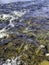 Close view of flowing water at Marsh Stream in West Winterport Maine