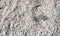 Close view granite