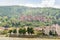 Close view of Heidelberg castle from below, surrounded by dense woodland, overlooking the town and riverside