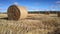 Close view huge straw roll shines in sunlight on vast field